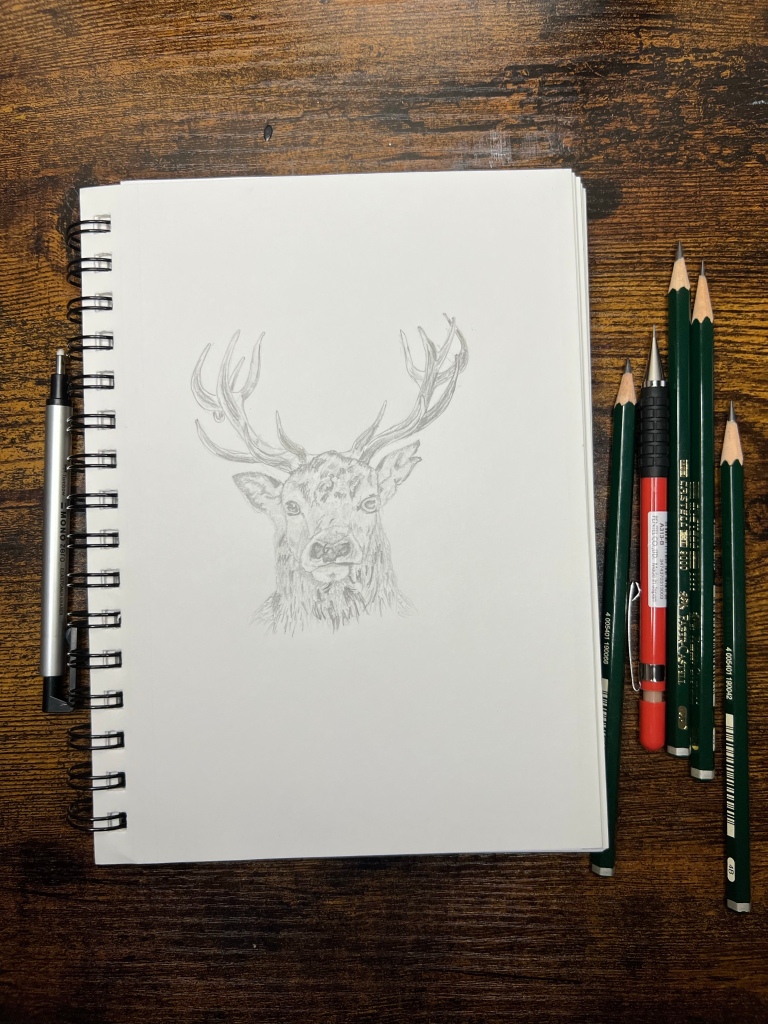 Rein deer pencil drawing 